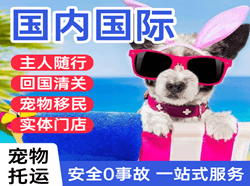 湘西边城航空空运国际宠物托运 【国